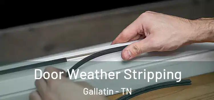 Door Weather Stripping Gallatin - TN