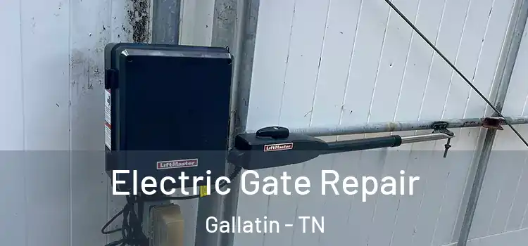 Electric Gate Repair Gallatin - TN