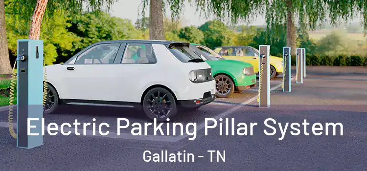 Electric Parking Pillar System Gallatin - TN