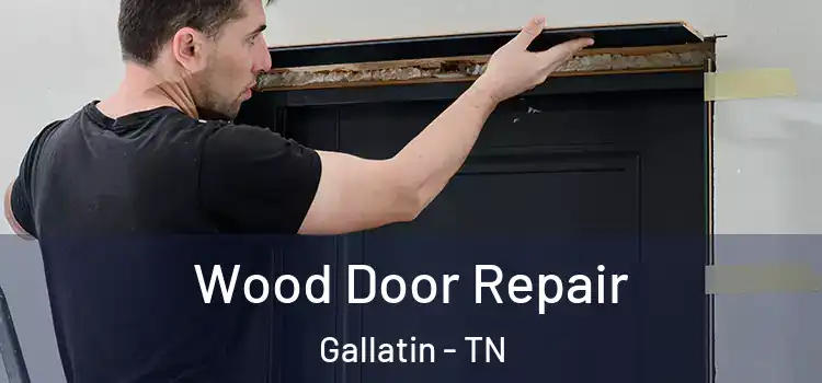 Wood Door Repair Gallatin - TN